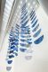 Fanfare: Dance of Fans